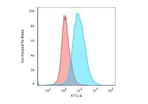 Flow cytometric analysis of paraformaldehyde fixed Jurkat cells using Anti-CD28 Antibody [204.12] followed by Goat Anti-Mouse IgG (CF and #174; 488) (Blue). Isotype Control (Red)