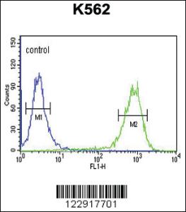 Anti-MC3R Rabbit Polyclonal Antibody