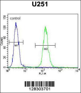 Anti-BHLHA15 Rabbit Polyclonal Antibody (PE (Phycoerythrin))