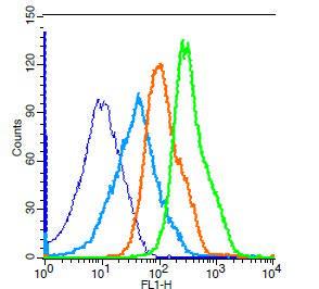 Anti-GIPR Rabbit Polyclonal Antibody