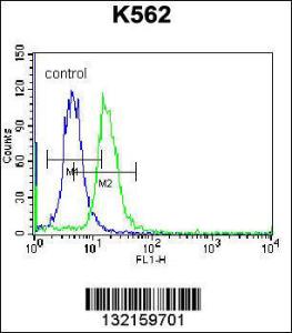 Anti-ABCD2 Rabbit Polyclonal Antibody (PE (Phycoerythrin))