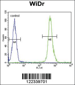 Anti-VPS26A Rabbit Polyclonal Antibody