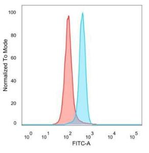 Anti-MSK1 antibody