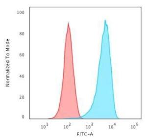 Antibody anti-CD43 84-3C1 100 µg