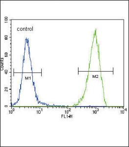 Anti-FLT3 Rabbit Polyclonal Antibody (HRP (Horseradish Peroxidase))