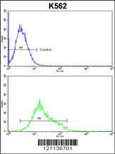 Anti-MFN2 Rabbit Polyclonal Antibody (Biotin)