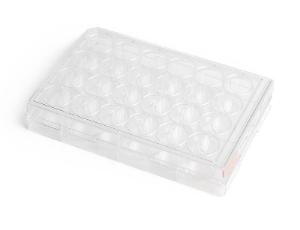 CellAdhere™ Collagen I-Coated, 12-well flat-bottom plate