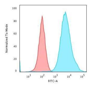 Anti-Cytokeratin 19 antibody