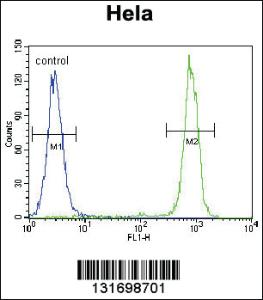 Anti-CPB1 Rabbit Polyclonal Antibody