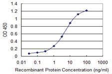 Anti-FNDC4 Mouse Monoclonal Antibody [clone: 7F9]