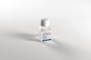 Pénicilline : Streptomycine solution 0,06/0,1 g/L