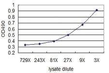 Anti-KIT Mouse Monoclonal Antibody (Biotin)