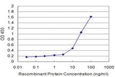 Anti-SH3BP4 Mouse Monoclonal Antibody [clone: 2B6]