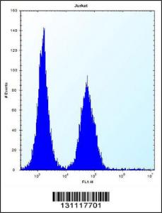 Anti-ABI2 Rabbit Polyclonal Antibody (FITC (Fluorescein Isothiocyanate))