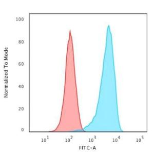 Flow cytometric analysis of human K562 cells using Anti-CD43 Antibody [rSPN/1094] followed by Goat Anti-Mouse IgG (CF&#174; 488) (Blue). Isotype Control (Red).