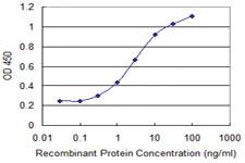 Anti-GCSAM Mouse Monoclonal Antibody [clone: 1.00E+09]