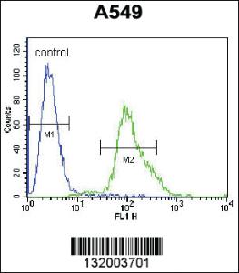 Anti-VCX Rabbit Polyclonal Antibody