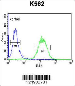 Anti-ACSBG2 Rabbit Polyclonal Antibody (APC (Allophycocyanin))