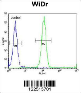 Anti-ASIC2 Rabbit Polyclonal Antibody (AP (Alkaline Phosphatase))