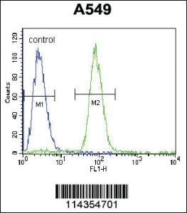 Anti-SOX3 Rabbit Polyclonal Antibody