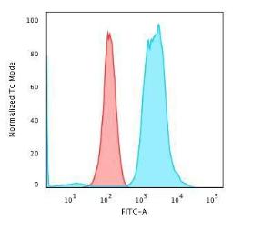 Flow cytometric analysis of PFA fixed K562 cells using Anti-Fascin Antibody [FSCN1/416] followed by Goat Anti-Mouse IgG (CF&#174; 488) (Blue). Isotype Control (Red)