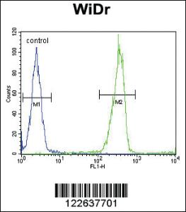 Anti-LGALS2 Rabbit Polyclonal Antibody