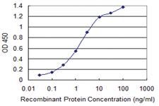 Anti-KIT Mouse Monoclonal Antibody [clone: 3A8]