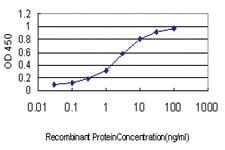 Anti-KCNE4 Mouse Monoclonal Antibody [clone: 1D7]