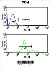 Anti-ASIC1 Rabbit Polyclonal Antibody (AP (Alkaline Phosphatase))