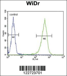 Anti-CCDC3 Rabbit Polyclonal Antibody