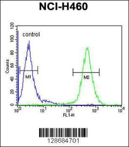 Anti-ACAD10 Rabbit Polyclonal Antibody (Biotin)