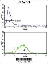 Anti-ZIC4 Rabbit Polyclonal Antibody