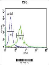 Anti-SPHK1 Rabbit Polyclonal Antibody