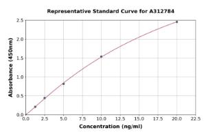 Representative standard curve for Human PGP9.5 ELISA kit (A312784)