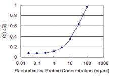 Anti-AOC3 Mouse Monoclonal Antibody [clone: 4B8]