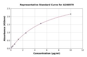 Representative standard curve for Horse Serum Amyloid A ELISA kit (A246979)