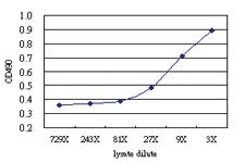 Anti-ELK3 Antibody Pair