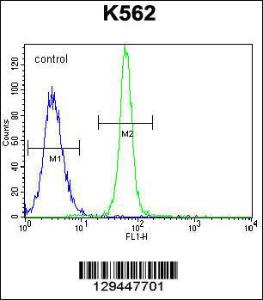 Anti-LRIT1 Rabbit Polyclonal Antibody (FITC (Fluorescein Isothiocyanate))