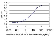 Anti-TLR6 Mouse Monoclonal Antibody [clone: 4E4]