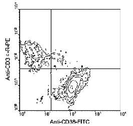 Anti-CD38 Rat Monoclonal Antibody (APC (Allophycocyanin)) [clone: 90]