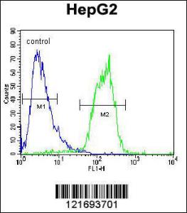 Anti-ACOT11 Rabbit Polyclonal Antibody (PE (Phycoerythrin))