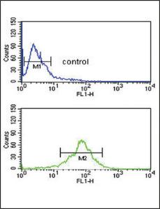 Anti-ACOT8 Rabbit Polyclonal Antibody (AP (Alkaline Phosphatase))