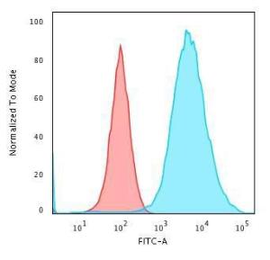 Flow cytometric analysis of methanol fixed MCF-7 cells using Anti-Cytokeratin 19 Antibody [KRT19/799] followed by Goat Anti-Mouse IgG (CF and #174; 488) (Blue). Isotype Control (Red)