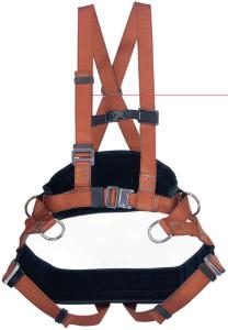 Tree-pruning harness