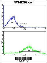 Anti-MLX Rabbit Polyclonal Antibody