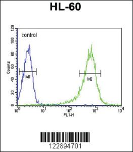 Anti-POLR2E Rabbit Polyclonal Antibody