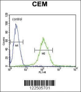 Anti-CFHR5 Rabbit Polyclonal Antibody