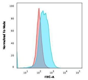 Flow cytometric analysis of PFA fixed Ramos cells using Anti-CD86 Antibody [rC86/1146] followed by Goat Anti-Mouse IgG (CF and #174; 488) (Blue). Isotype Control (Red)