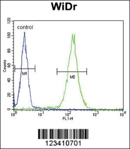 Anti-FBXO34 Rabbit Polyclonal Antibody