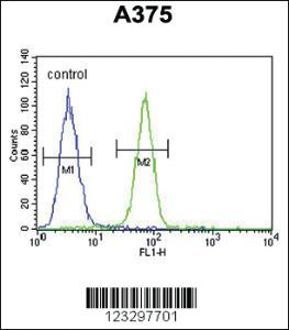 Anti-DERA Rabbit Polyclonal Antibody